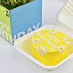 Birthday Wish Lunchbox Chocolate Cake and Lucky Bamboo