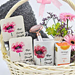 Comfort and Care Hamper