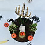 Halloween Theme Plant