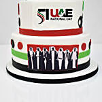 Spririt of Union Celebration Cake