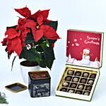 Delicious Treats and Poinsettia Combo