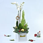 Christmas Orchid and Tree in a Box