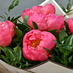 Delightful Coral Peonies Bunch