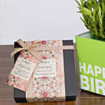 3 Layer Bamboo Plant and Mirzam Chocolates for Birthday