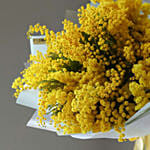 Mimosa Flowers Bunch