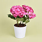 Pink Hydrangea Love You Mom Pot