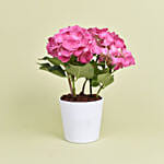 Pink Hydrangea Love You Mom Pot