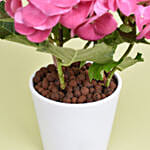 Pink Hydrangea Love You Mom Pot