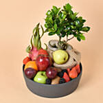 Bonsai and Fruits Tray