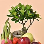 Bonsai and Fruits Tray