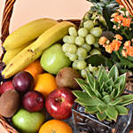 Plants and Fruits Basket
