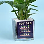 Pot Dad Peace Lilly Plant