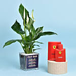 Pot Dad Peace Lilly Plant with Perfume