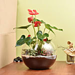 نبتة أنثوريوم حمراء في فازة زجاجية بتصميم مميز