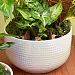 Plants Beauty Set