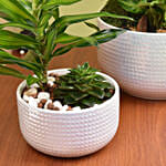 Plants Beauty Set