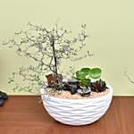 Exotic Plant Garden