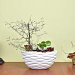 Exotic Plant Garden