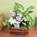 Best Wishes Flowers and Plant Basket