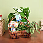 Get Well Soon Flowers and Plant Basket
