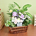 Best Wishes Flowers and Plant Basket