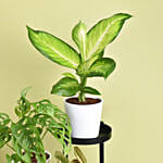 Reduce Noise And Air Pollution Plant Stand