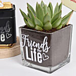 Friends For Life Plant and Chocolates