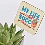 Friends For Life Plant and Chocolates