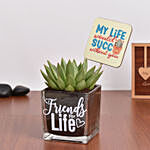 Friends For Life Plant and Coaster