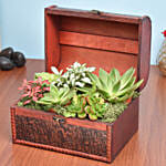 Garden Treasure Box