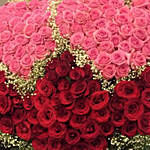 500 وردة حمراء ووردية معاً على شكل قلب كبير جميل
