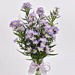 Aster Flower Elegant Birthday Wishes