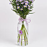 Aster Flower Elegant Birthday Wishes