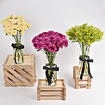 Beautiful Flowers Set of 3