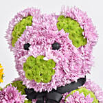 Chrysanthemum Flowers Teddy