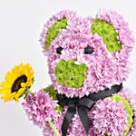 Chrysanthemum Flowers Teddy