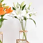 Lilies Beauty Trio