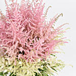 Pink and White Astilbe Beauty Bouquet