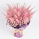 Pink Astilbe Bouquet
