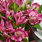 Purple Peruvian Lily Arrangement