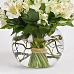 White Peruvian lily Arrangement