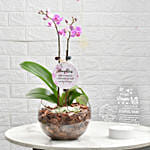 Love For Daughter Orchid Plant and Lamp