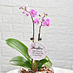 Love For Daughter Orchid Plant and Lamp