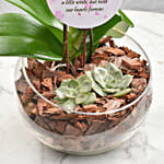 Love For Daughter Orchid Plant and Lamp