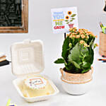 Best Teacher Bento Cake And Kalanchoe Plant