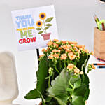 Best Teacher Bento Cake And Kalanchoe Plant