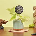 Golden Pothos Plant With Best Boss Tag