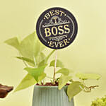 Golden Pothos Plant With Best Boss Tag