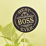 Golden Pothos Plant With Best Boss Tag