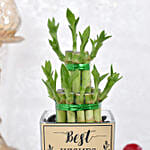 Best Wishes Lucky Bamboo and Sweets Combo
